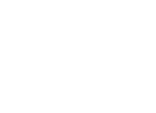 Over 500  Chicago area girls  served through  Girls 4 Science