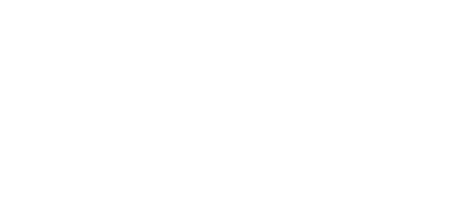 Over 500  Chicago area girls  served through  Girls 4 Science